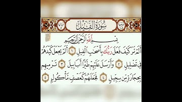 سوره الفيل 🖤🥀 @كيم هيسو🥀🖤