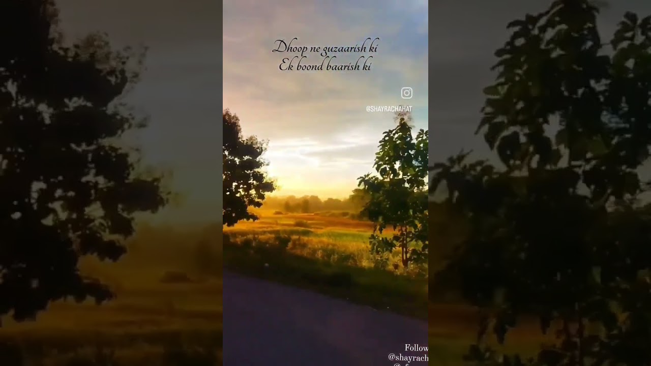 Morning vibes.....#morning #shorts #shortvideo #reels #explore #entertainment #nature #views
