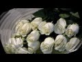 белые розы любви