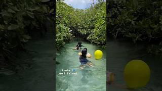 #aruba #travel #ideas #reef #nature #mangrove #forest #fish #relaxing #viral #island #life #fyp