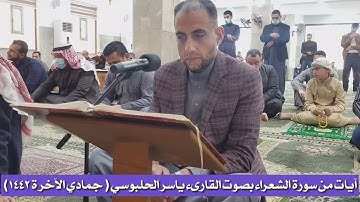 ياسر الحلبوسي ماتيسر من سورة الشعراء