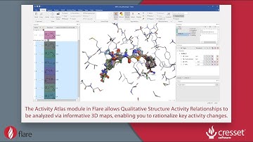 Qualitative SAR in Flare™: Activity Atlas™