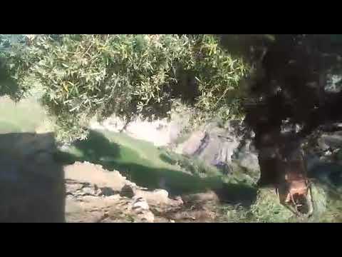 هنا قبيلة تمسكان المتواجدة بدائرة أكنول إقليم تازة