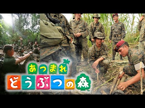 【実況】あつまれどうぶつの森にブチギレ
