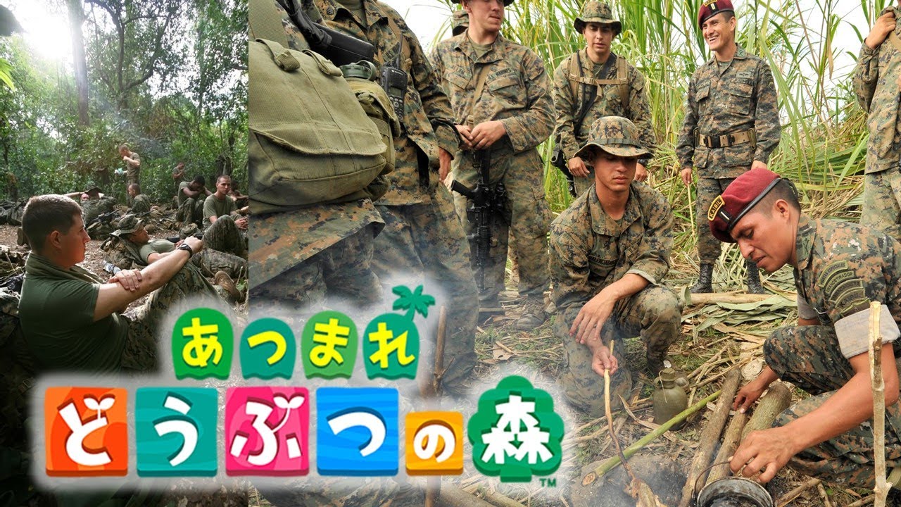 【実況】あつまれどうぶつの森にブチギレ