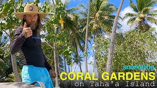 Visiting The Amazing Coral Gardens on the Island of Taha'a in French Polynesia