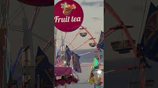 Collier county fair 2026