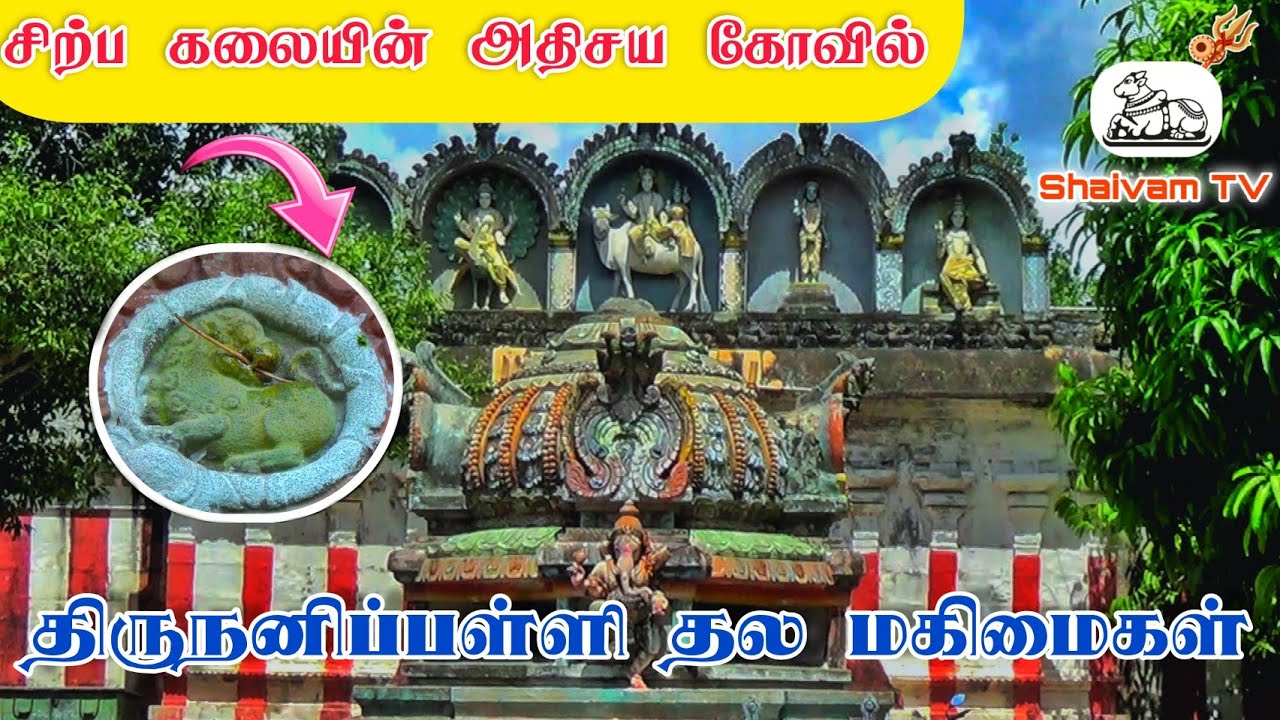 திருநனிப்பள்ளி (பொன்செய்) திருத்தல மகிமைகள்.