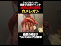 自在に色を変化させるカメレオンが美しすぎる #ペット #おすすめ #fyp