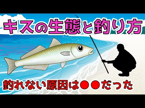 【キス釣りの極意】これからが旬！キスの生態や釣り方を勉強して釣果アップ‼