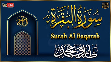 سورة البقرة كاملة لحفظ وتحصين المنزل وطرد الشياطين | القارئ طارق محمد Surah Al Baqarah