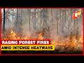 Raging Forest Fires Amid Intense Heatwave Raise Alarm In Odisha’s Malkangiri