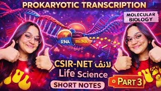 Prokaryote transcription 💕🌷// csir net life science//short revision// handwritten notes 