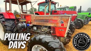 Pulling Days 2022 Edling / Vlog