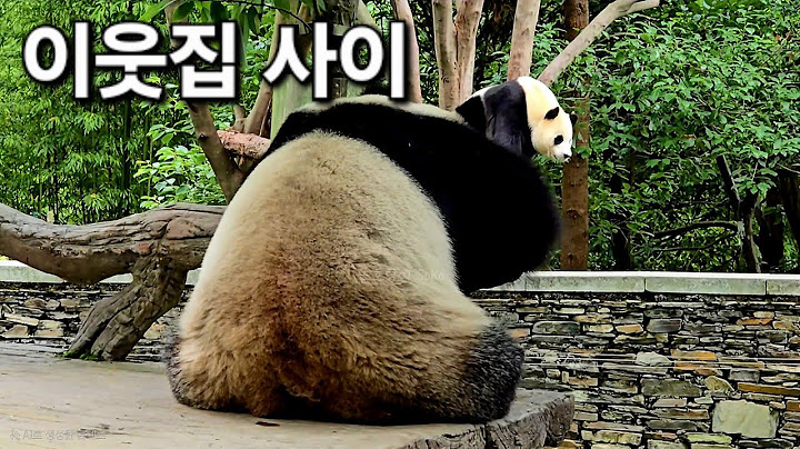 옆집 양쪽에 유유들이 있는 푸바오의 이웃들~ | 7월 12일 오후 제6편(푸바오 실시간)