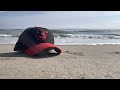 Baltimore Orioles Surfs Up