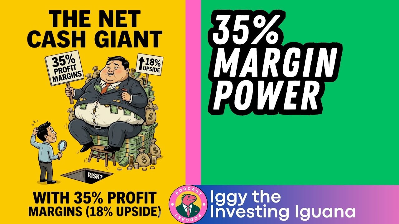 The Net Cash Giant with 35% Profit Margins (18% Upside) |🦖EP1387 