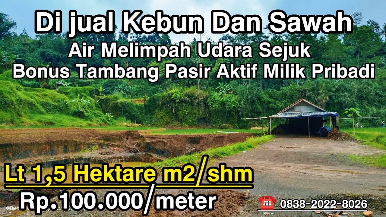 🌿 DIJUAL LAHAN INVESTASI  LENGKAP 1,5 HEKTARE – KEBUN PRODUKTIF, SAWAH DATAR & TAMBANG PASIR AKTIF 