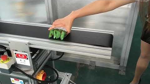 Top and Bottom Double Labeling Machine