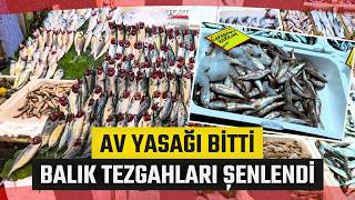 Av Yasağı Sona Erdi, İstanbul'da Balıkçılık Sezonu Başladı: Balıklar Tezgahlarda Yerini Aldı
