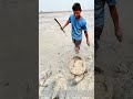 Mud Prodigy: Why This Hook Technique Catches Eels Without a Net