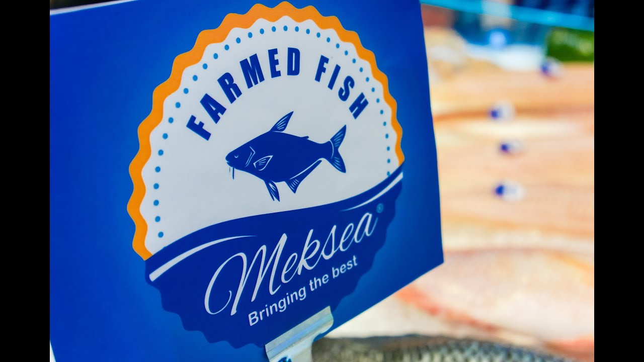 Introduction Mekong Seafood Connection Company YouTube