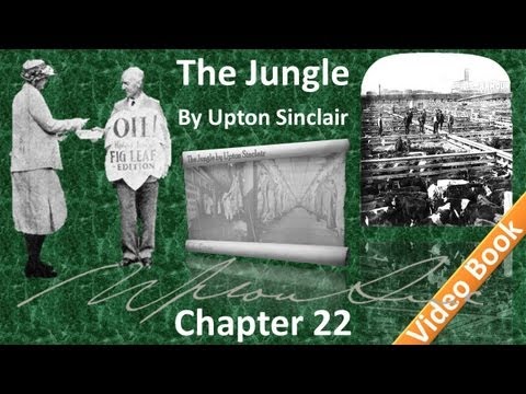 Chapter 22 - The Jungle by Upton Sinclair