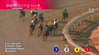 Race #8 02/17/26