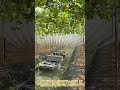 水路移動式高圧噴霧ボートを用いたブドウ果樹園の微細霧状防除および薬剤散布過程 #worker #process #farming #technology #heavywork