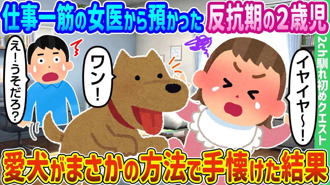 【2ch馴れ初め】仕事一筋の女医から預かった反抗期の2歳児、愛犬がまさかの方法で手なづけた結果【ゆっくり動画】
