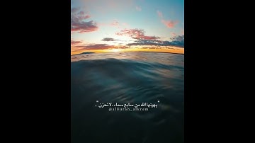 القران الكريم 495