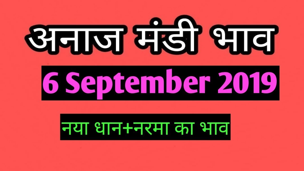 6 September 2019 Mandi Rates | New 1509 Paddy Rates | Nya Narma Ka Bhav