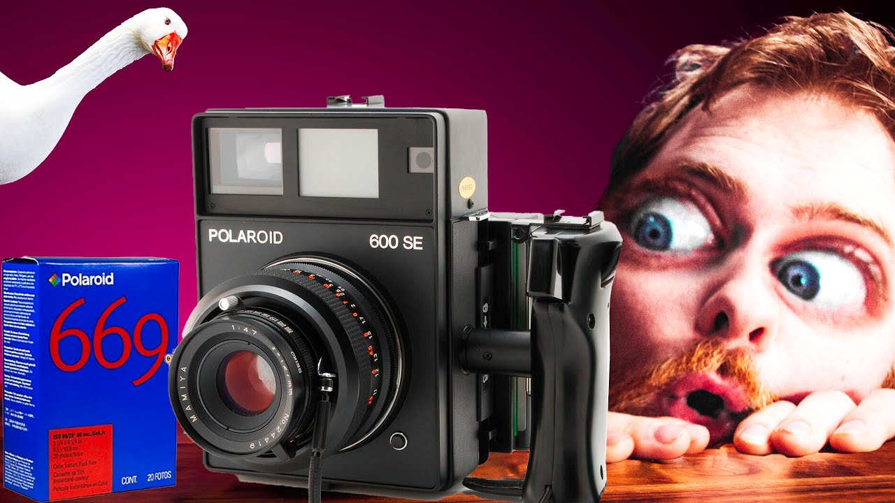 POLAROID 600 SE フィルムカメラ The short history of the Polaroid 600 SE AKA The GOOSE - YouTube