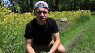 Plant Form and Function Ap bio Crash Course