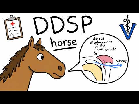 Why Horses Suddenly Choke Up During Exercise: DDSP Explained