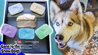 YouTube Play Button Cookies for Dogs | DIY Dog Treats Recipe 100