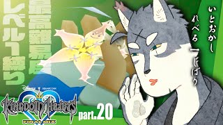最弱の俺でも君を救えたら：２０【キングダムハーツHD1.5+2.5リミックス】