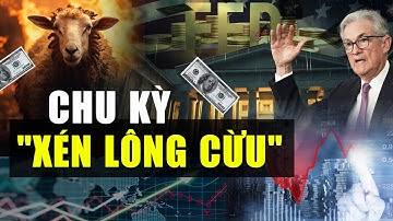 BẠN SẼ BỊ BÓC LỘT CẢ ĐỜI NẾU KHÔNG HIỂU CHU KỲ XÉN LÔNG CỪU – Cách Giới Tài Phiệt Lấy Tiền Của Bạn!