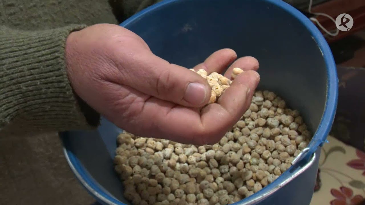 Homenaje al garbanzo de Valencia del Ventoso | Puerta con Puerta