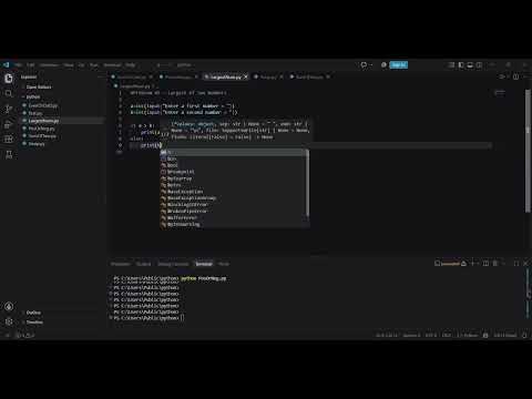 Find the Larger of Two Numbers in Python | Beginner Coding Problem 🐍