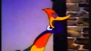 Woody Woodpecker Andy Panda - Knock Knock 1940