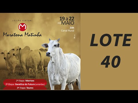 LOTE 40