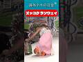 ズッコケ ランウェイ / Runway fails #ファッションショー #ハプニング #転倒 #ヒール