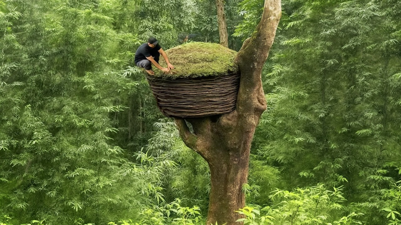Building a Reed Nest Suspended Over Water, Bushcraft, Insulated Treehouse