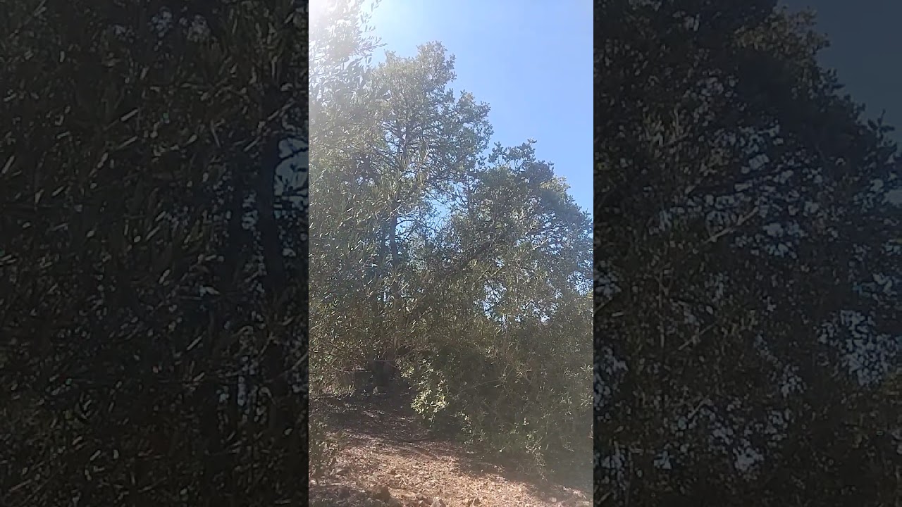 Неужели все настолько плохо?