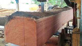 Wood Processing Factory // Meranti red stone sawmill