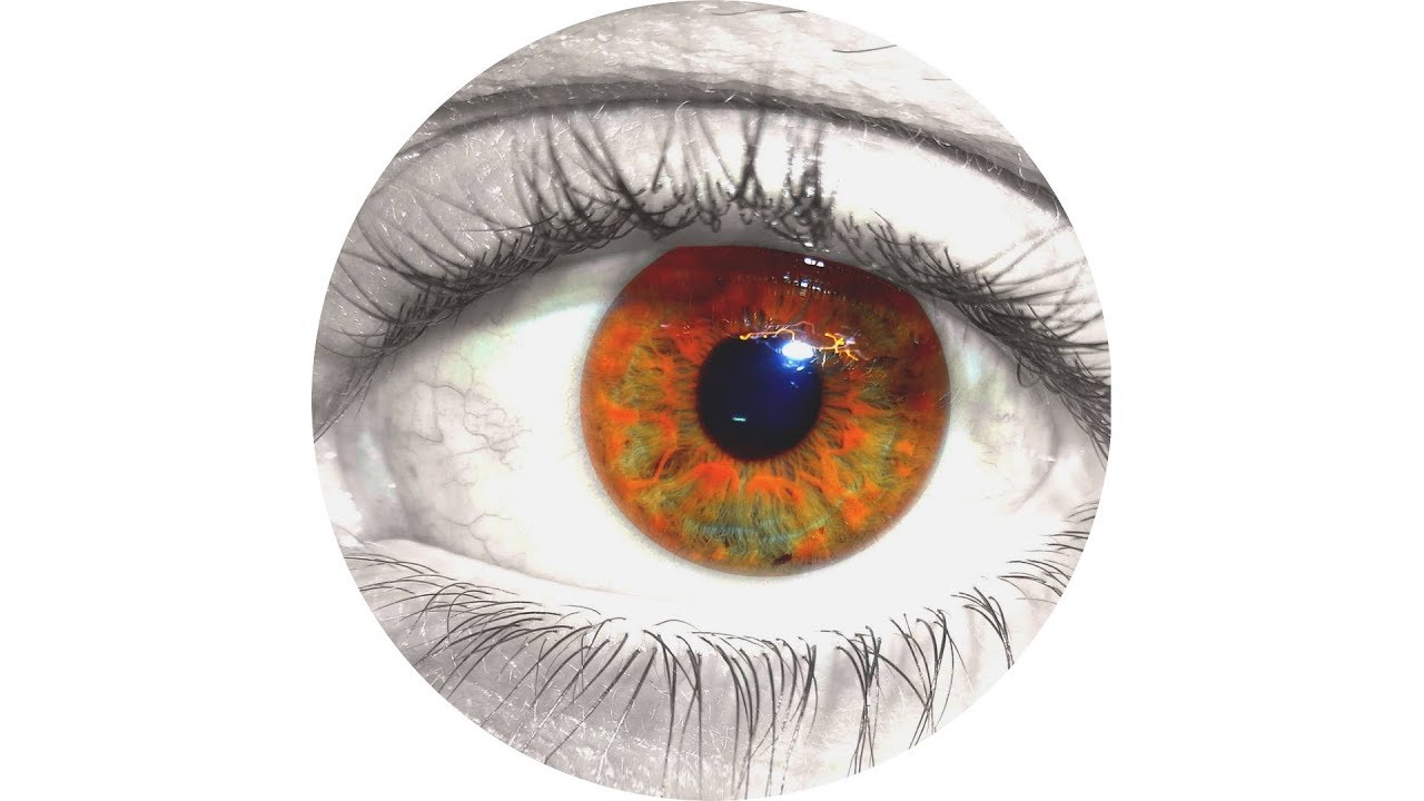 ◖Changer de regard◗