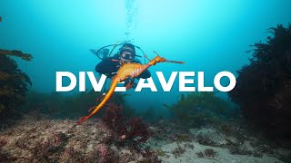 Dive with AVELO | Abyss Scuba Diving