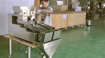 tutorial how to install single head linear scale filling machine granules weighing filler