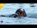 U.S. Navy SEALs Operations With Croatian Special Force